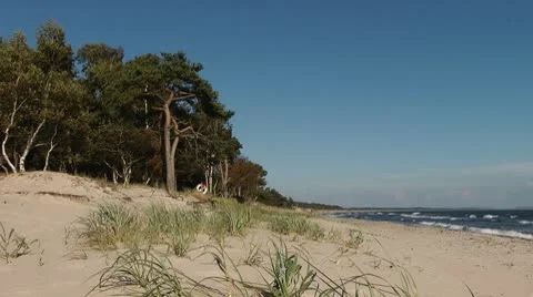 Near Ystad Stock Footage 8967812