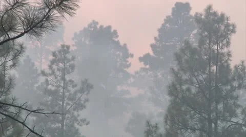 Nearing Fire Stock Footage 9369382