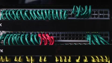 Neat and tidy patched network cables, RJ45, connected to the switches and Stock Footage 286815053