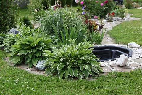 Neat beds on the garden plot. Beautiful beds with seedlings. 스톡 사진