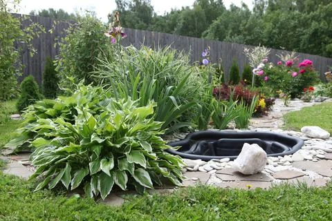 Neat beds on the garden plot. Beautiful beds with seedlings. 스톡 사진