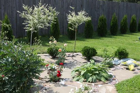 Neat beds on the garden plot. Beautiful beds with seedlings. 스톡 사진