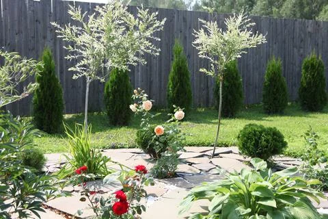 Neat beds on the garden plot. Beautiful beds with seedlings. Stock Photos