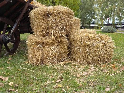 Neat haystacks Stock Photos