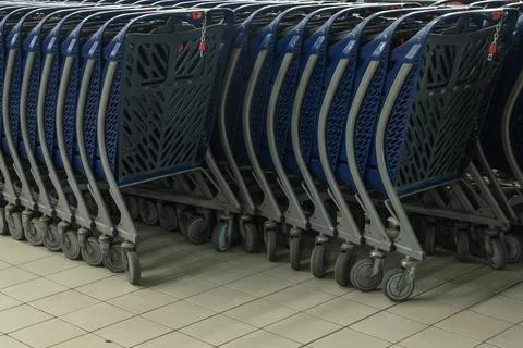 Neat rows of empty blue shopping carts stand in a supermarket terminal floo.. 写真素材