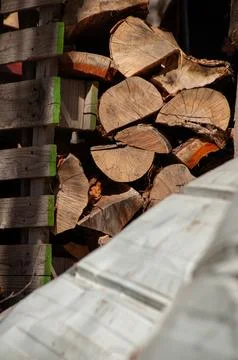 A neat stack of cut firewood and logs on wooden pallets Foto stock