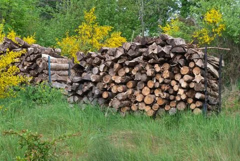 A neat stack of firewood rests on grass, complemented by vibrant yellow flowe Stock Photos