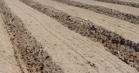 Neatly arranged soil rows after rotary tilling, showing well-prepared farmland. Stock Footage 323344174
