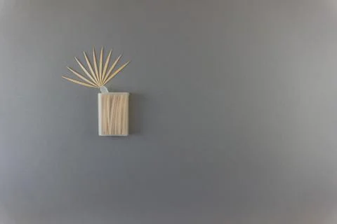 Neatly arranged toothpicks with box on gray background Stock Photos