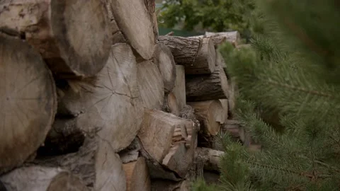 Neatly folded round logs for splitting and heating. Natural Fuel for village Stock Footage 221937720
