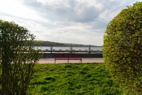 A neatly maintained row of green hedges lines a paved walkway in a peaceful Stock Photos