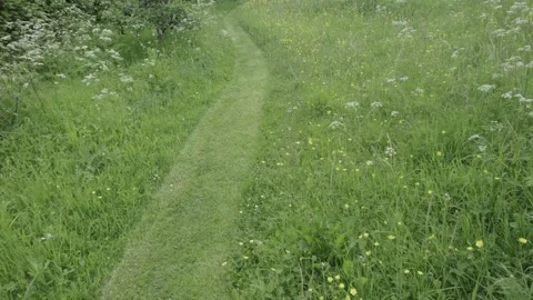 A neatly mown path through a garden meadow in summer. UK Stock Footage 307002233