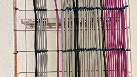 A Neatly Organized Array of Electrical Cables in Multiple Colors, Secured and Stock-Footage 334001887