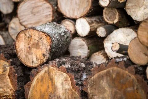 Neatly piled stack of chopped trunks outdoors on bright sunny day, abstract b Stock Photos
