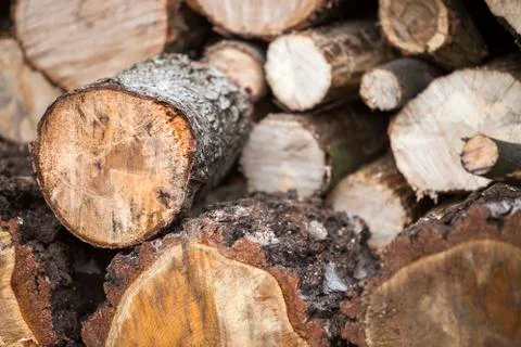 Neatly piled stack of chopped trunks outdoors on bright sunny day, abstract b Foto stock