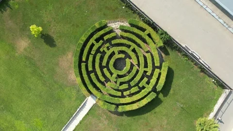 Neatly trimmed green hedges create a circular maze with a central opening Stock Footage 340240493