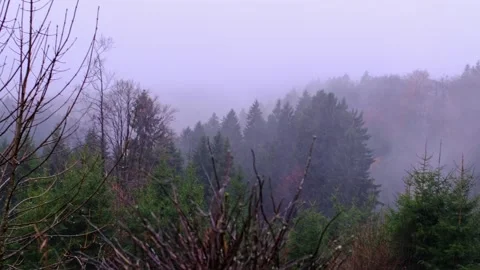 Nebel Regen Hoheleye E Stock Footage 320319892