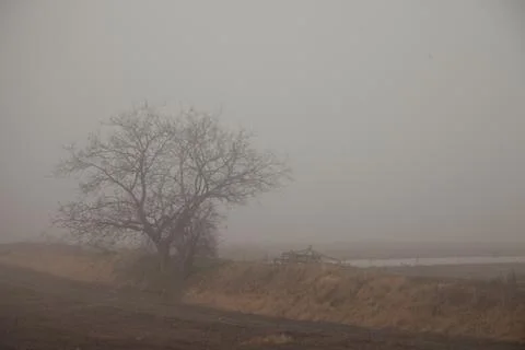 Nebel über feldern Stock Photos