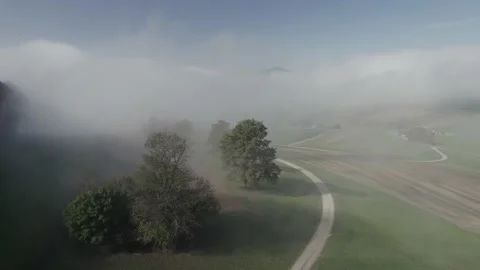 Nebelflug Stock Footage 167812334