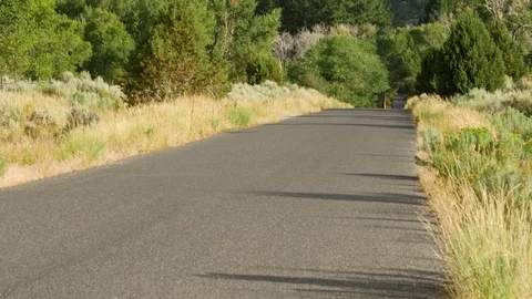 Nebo fast tilt Vídeos de archivo 78045722