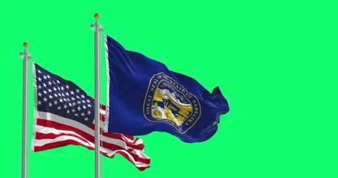 Nebraska and the US flags waving in the wind isolated on green background Stock Footage 313813304