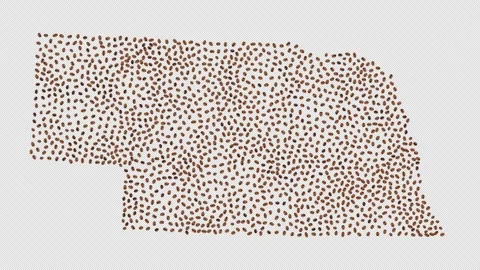 Nebraska Coffee Beans Stock Footage 147832913