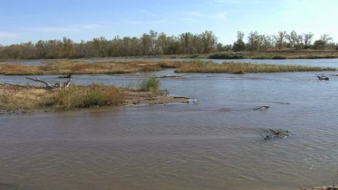 Nebraska Platte River scene Stock Footage 129191258