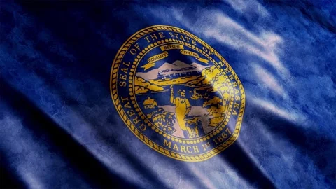 Nebraska State Flag Grunge 库存影片 249039788