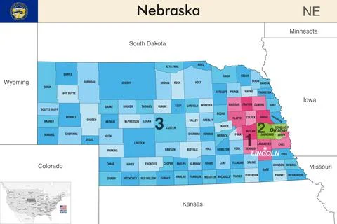 Nebraska state map with counties borders and congressional districts Illustrazione stock