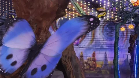 NebulaFlutter Stock Footage 274833498