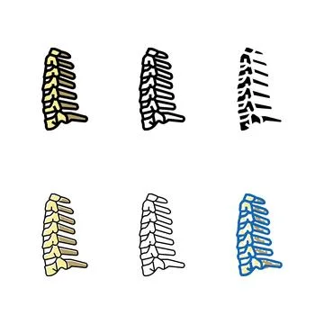 Neck bone color icon vector designs Stock Illustration