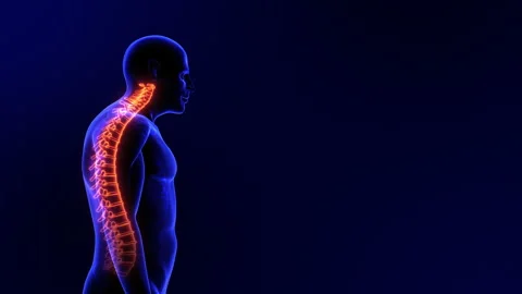 Neck Pain Or Cervical Postural Syndrome 스톡 동영상 277673718
