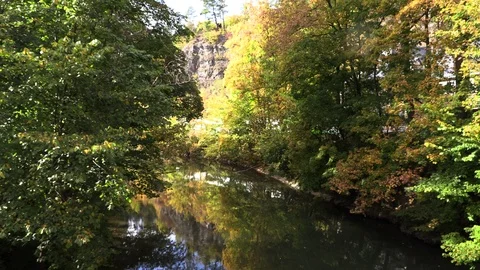 Neckar River with green trees, in Germany Vidéo 96096301