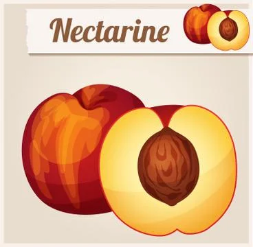 Nectarine.  Detailed Vector Icon Stock Illustration