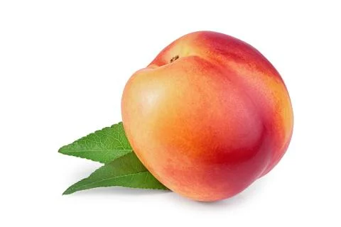 Nectarine fruit with leaf isolated on white background cutout Stock Photos
