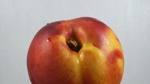 Nectarine fruit rotates Stock Footage 138685385