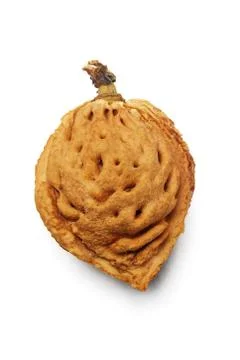 Nectarine Fruit Seed Foto stock
