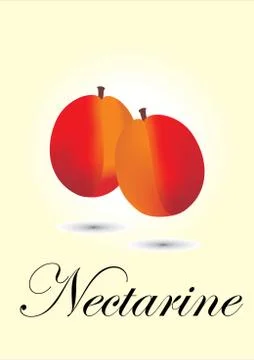 Nectarine Stock Illustration