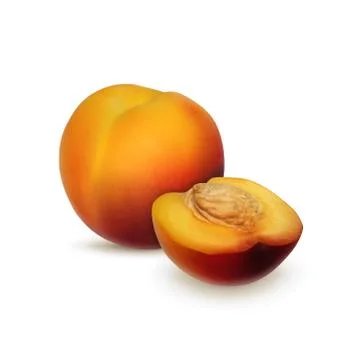 Nectarine Stock Illustration