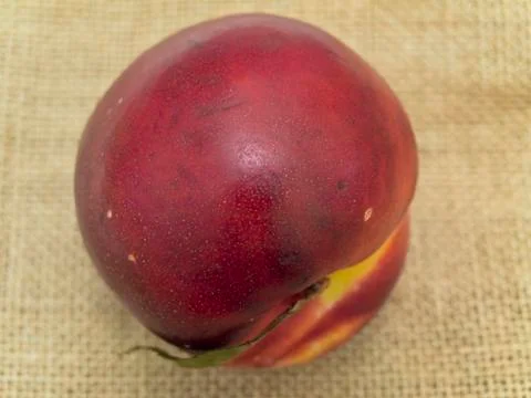 Nectarine at Linen Stock Photos
