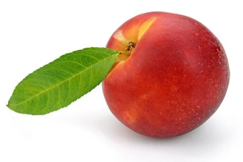 Nectarine peach with leaf on white background Stock Photos