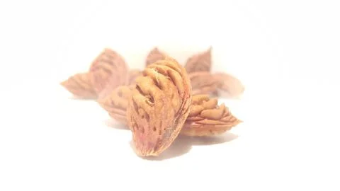 Nectarine Peach Pits With Mist Effect Stock Photos