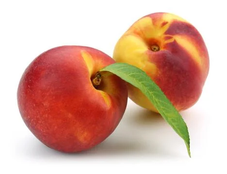 Nectarine peaches with leaf Stock Photos
