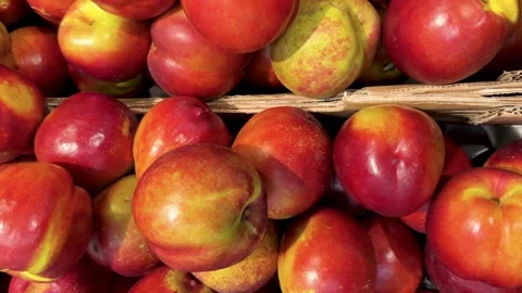 Nectarine peaches seen from above. Tracking shot on peaches arranged on green Stock Footage 280189285