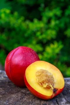 Nectarine Stock Photos