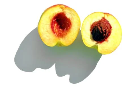 Nectarine Stock Photos