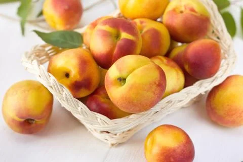 Nectarine Stock Photos