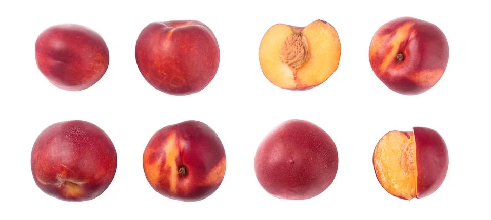 Nectarine set Stock Photos