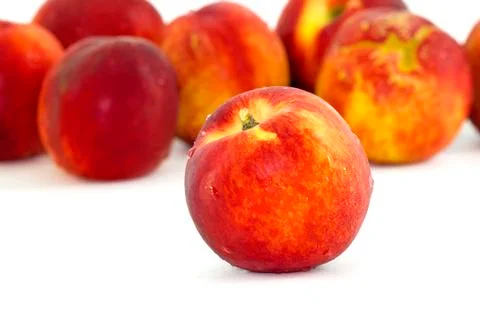 Nectarine in a white background Stock Photos