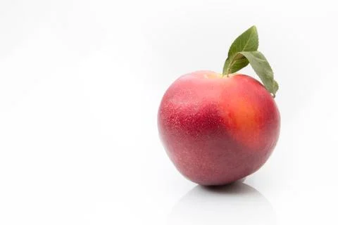 A nectarine on a white background Stock Photos